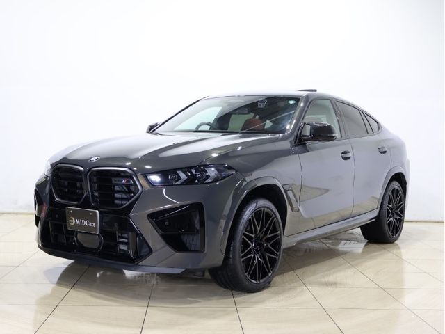 BMW / BMW X6 M