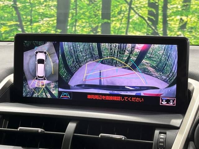 LEXUS NX300h