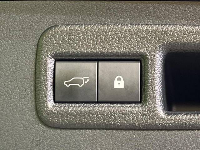 LEXUS NX300h