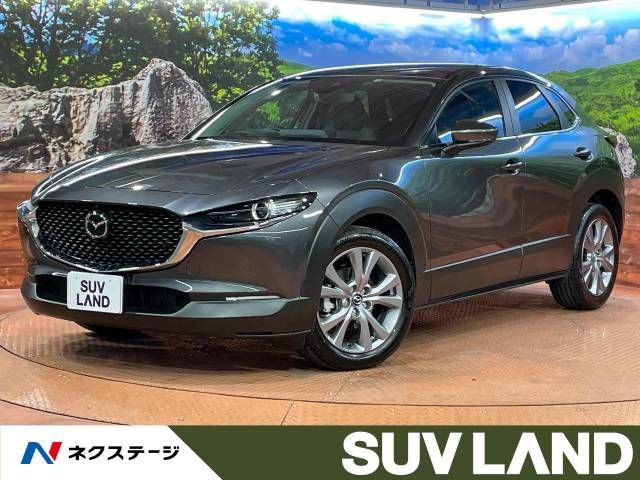 Japanese used car Ref# 1271000 MAZDA / CX-30