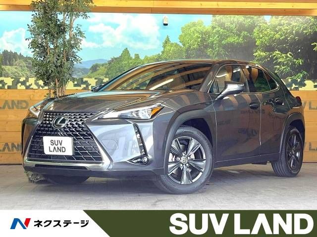 TOYOTA / LEXUS UX300h