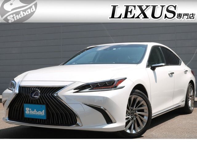 TOYOTA / LEXUS ES300h