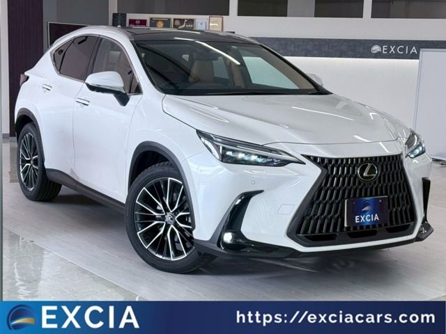 TOYOTA / LEXUS NX250