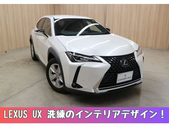 TOYOTA / LEXUS UX250h