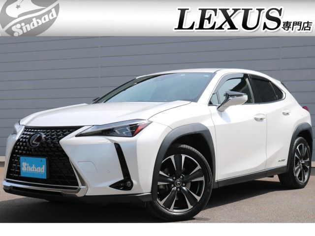 TOYOTA / LEXUS UX250h