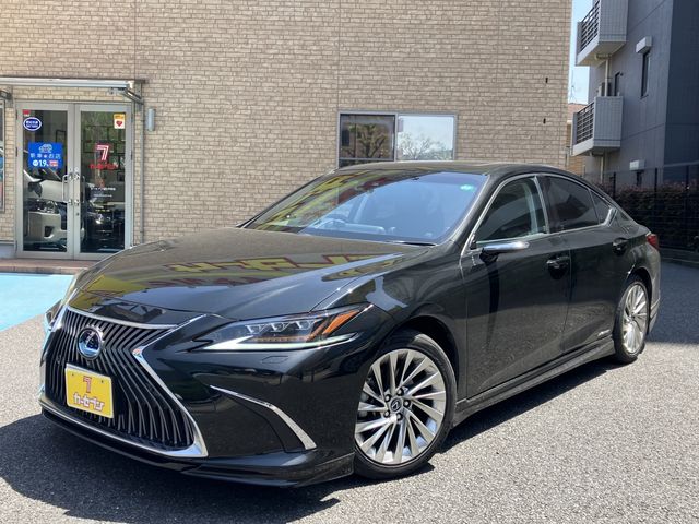TOYOTA / LEXUS ES300h