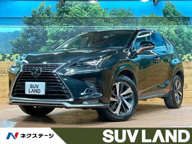 TOYOTA / LEXUS NX300