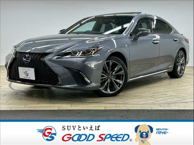 TOYOTA / LEXUS ES300h
