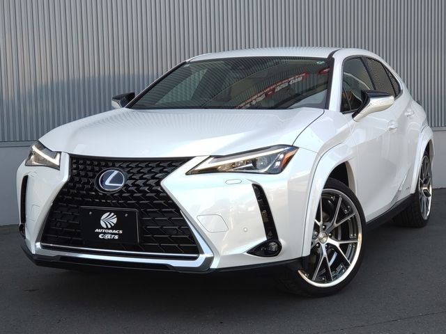 TOYOTA / LEXUS UX250h AWD