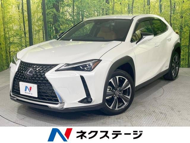 TOYOTA / LEXUS UX250h