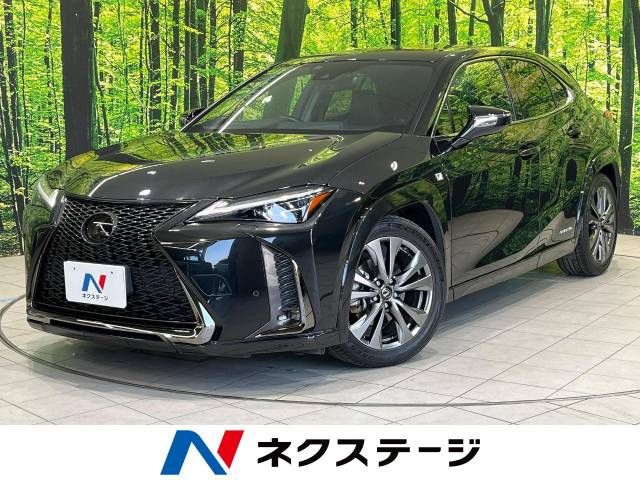 TOYOTA / LEXUS UX250h