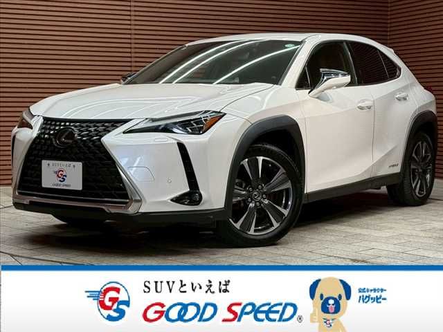 TOYOTA / LEXUS UX250h