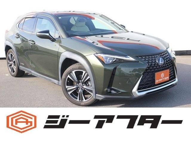 TOYOTA / LEXUS UX250h