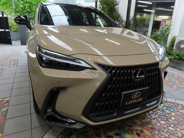 TOYOTA / LEXUS NX350 AWD