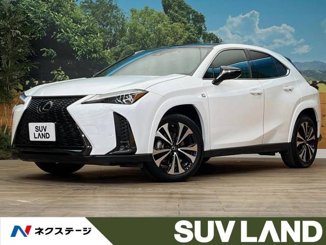 TOYOTA / LEXUS UX250h AWD