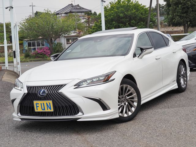 TOYOTA / LEXUS ES300h