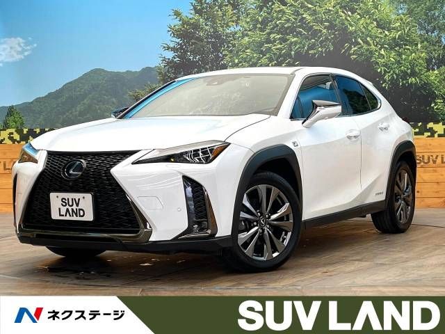 TOYOTA / LEXUS UX250h