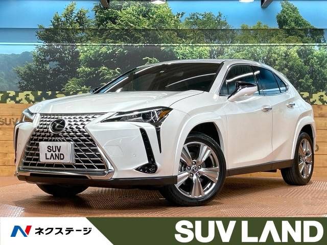 TOYOTA / LEXUS UX250h