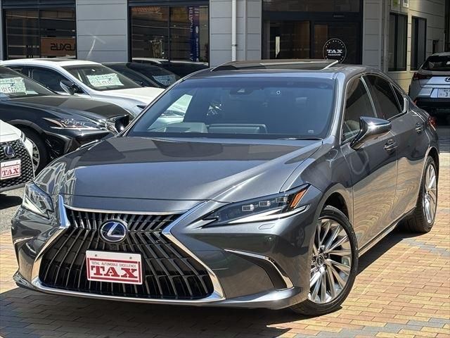 TOYOTA / LEXUS ES300h