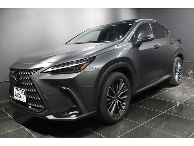 TOYOTA / LEXUS NX250