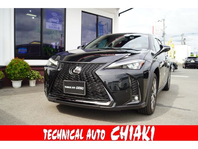 TOYOTA / LEXUS UX250h