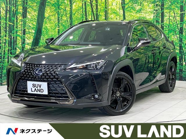TOYOTA / LEXUS UX250h
