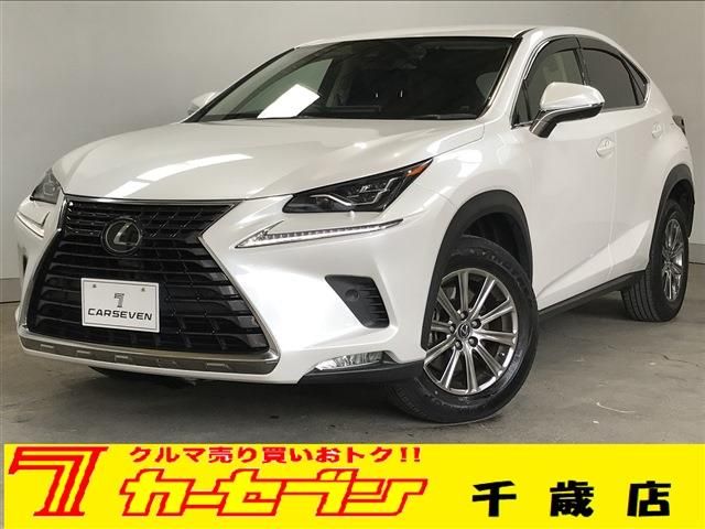 TOYOTA / LEXUS NX300 AWD