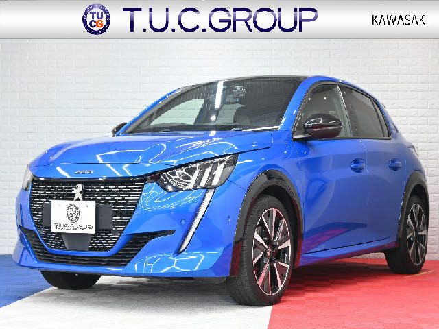 PEUGEOT / PEUGEOT 208