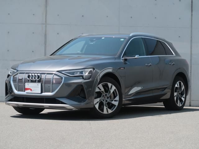 AUDI / AUDI e-tron