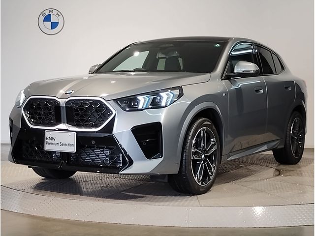 BMW / BMW X2