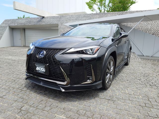 TOYOTA / LEXUS UX250h