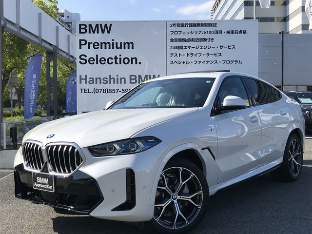 BMW / BMW X6