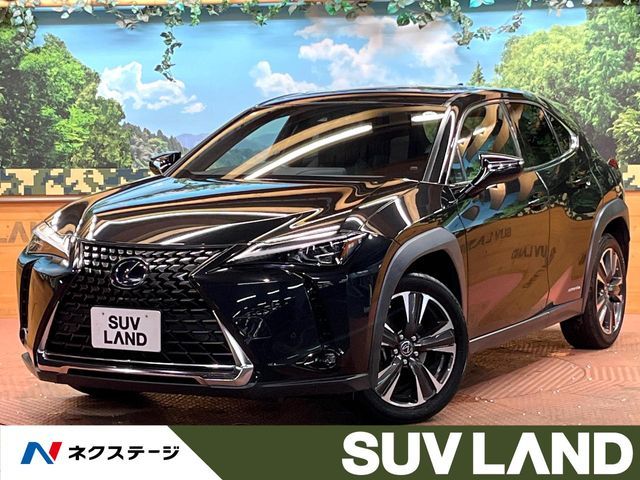 TOYOTA / LEXUS UX250h