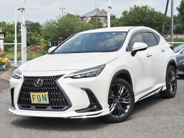 TOYOTA / LEXUS NX450h+ AWD
