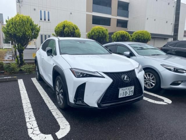 TOYOTA / LEXUS UX250h AWD