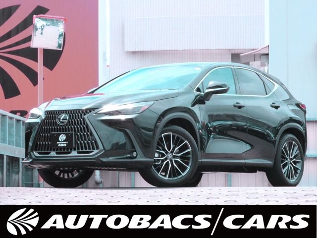 TOYOTA / LEXUS NX250