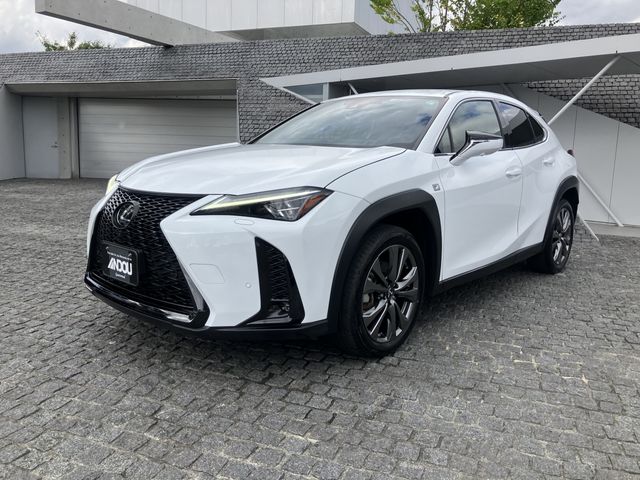 TOYOTA / LEXUS UX250h