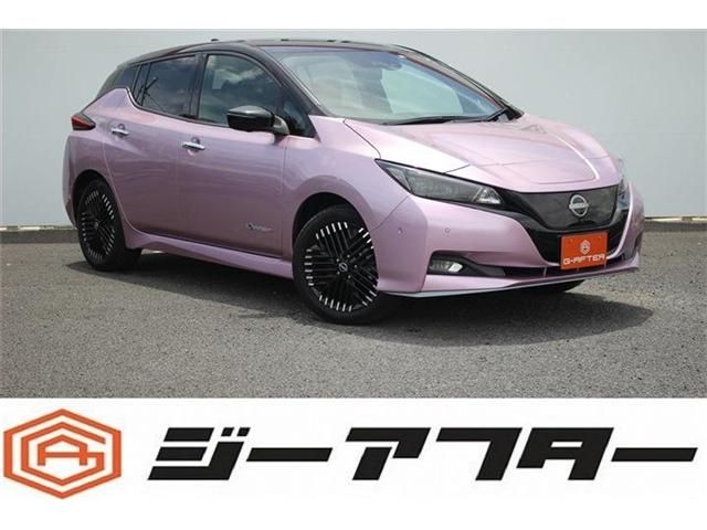 NISSAN / LEAF