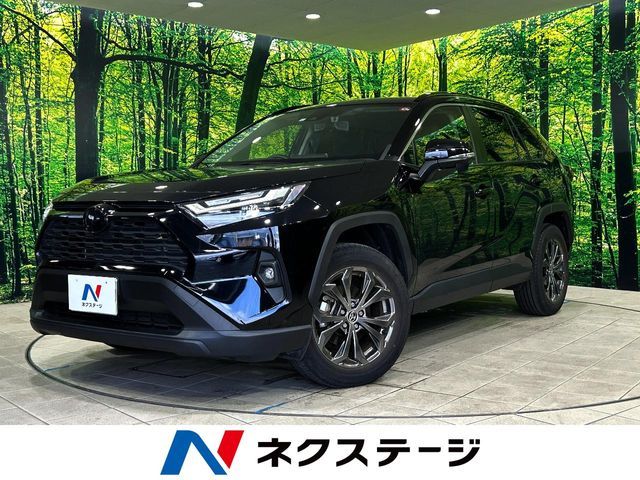 TOYOTA / RAV4 HYBRID 2WD