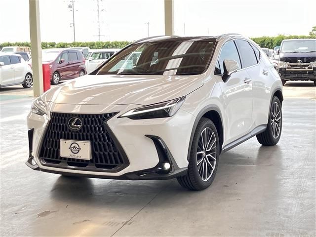 TOYOTA / LEXUS NX250