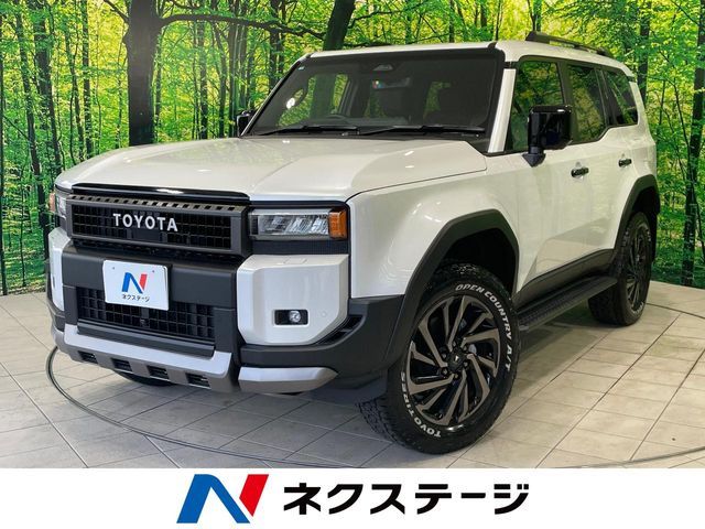 TOYOTA / LANDCRUISER 250