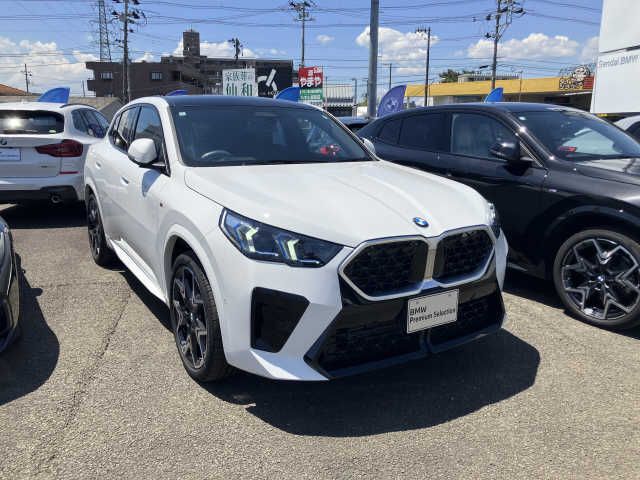 BMW / BMW X2