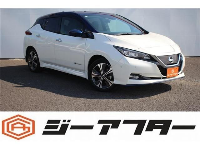 NISSAN / LEAF