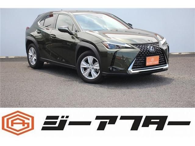 TOYOTA / LEXUS UX250h