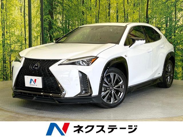 TOYOTA / LEXUS UX250h