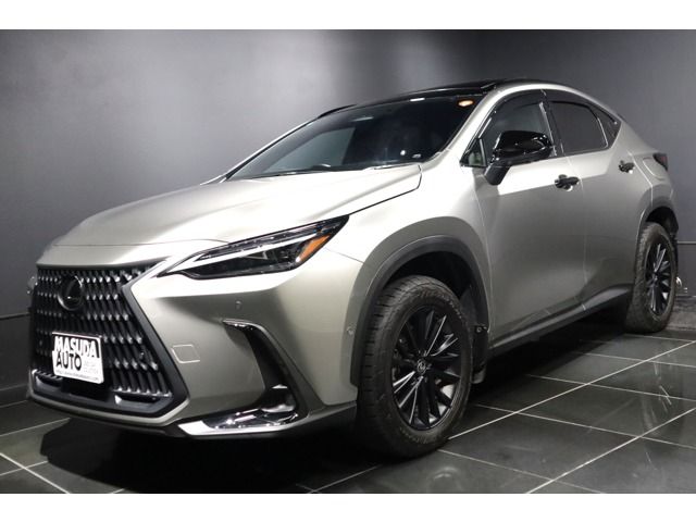 TOYOTA / LEXUS NX450h+ AWD