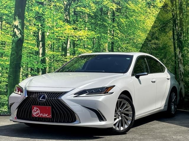 TOYOTA / LEXUS ES300h