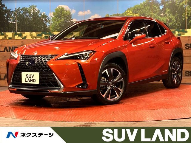 TOYOTA / LEXUS UX250h