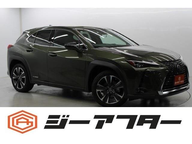 TOYOTA / LEXUS UX250h