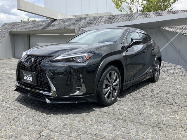 TOYOTA / LEXUS UX250h